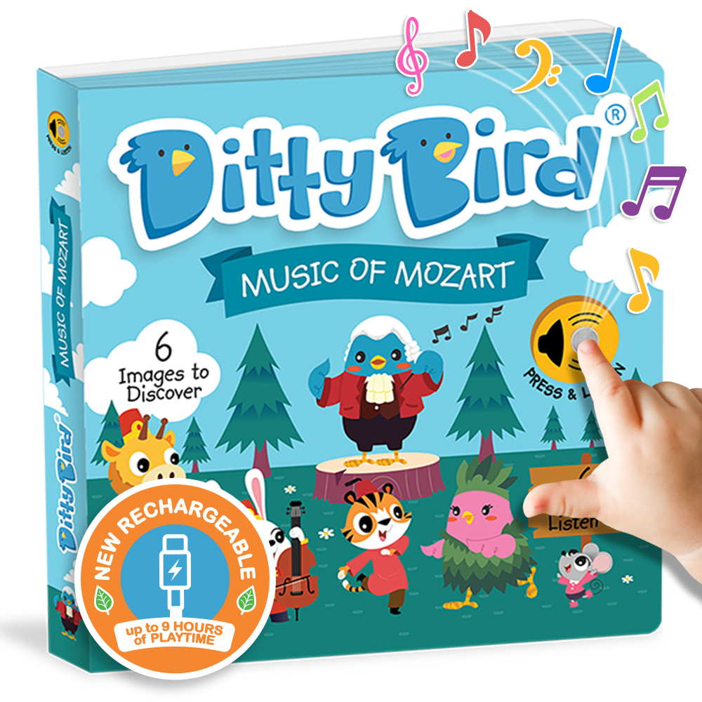 Ditty Bird book packaging with cartoon characters and musical elements on a blue background
