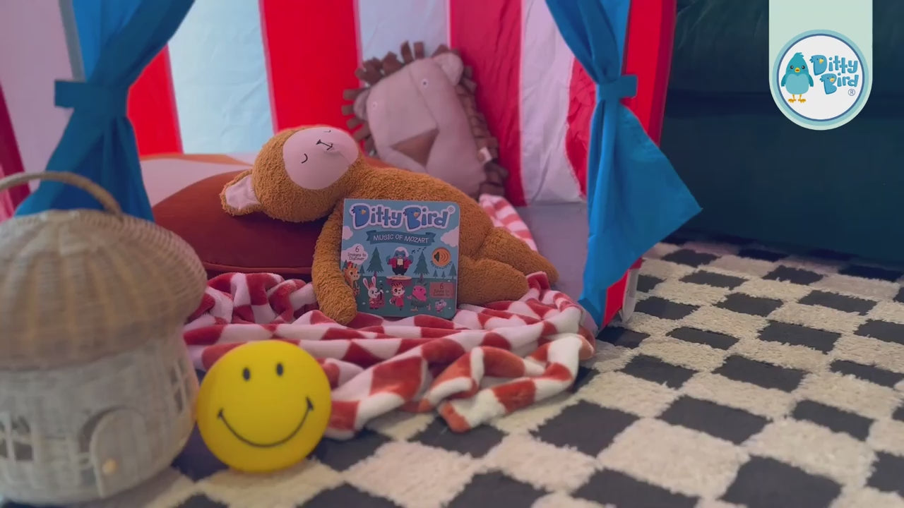 Listen to the music of mozart with Ditty bird.  Kid-friendly 1 year old books: Made for little hands, Ditty Bird Books have round corners, are easy to flip, easy to hold & comes with interesting sound buttons your babies will keep pushing