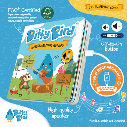 Musical Instruments | USB-C Rechargeable